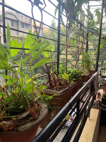 Balcony in 1 BHK Apartment at Kumar Mahatma Society, Kothrud – for Rent