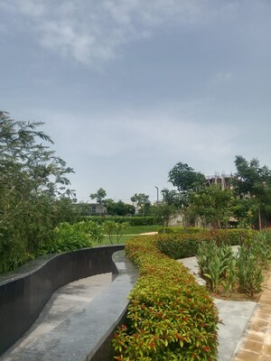 Plot Area in  Plot at ROF Insignia Park, Sector 93 – for Sale