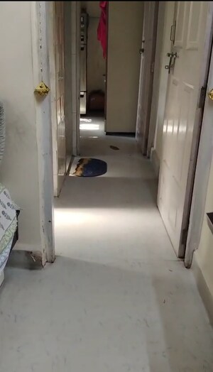 Bathroom in 1 RK Apartment at Mulund East – for Sale