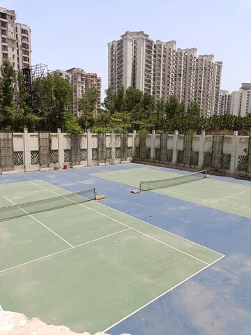 Swimming Pool in 5 BHK Penthouse at Amrapali Zodiac, Sector 120 – for Sale