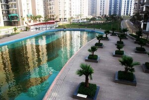 Swimming Pool in 5 BHK Penthouse at Amrapali Zodiac, Sector 120 – for Sale