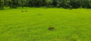  Plot For Sale in Keshav Nagar