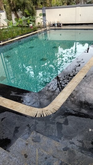 Swimming Pool in 4 BHK Villa at Assagao – for Rent