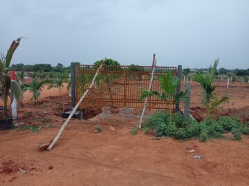 Plot Area in  Plot at Wargal – for Sale