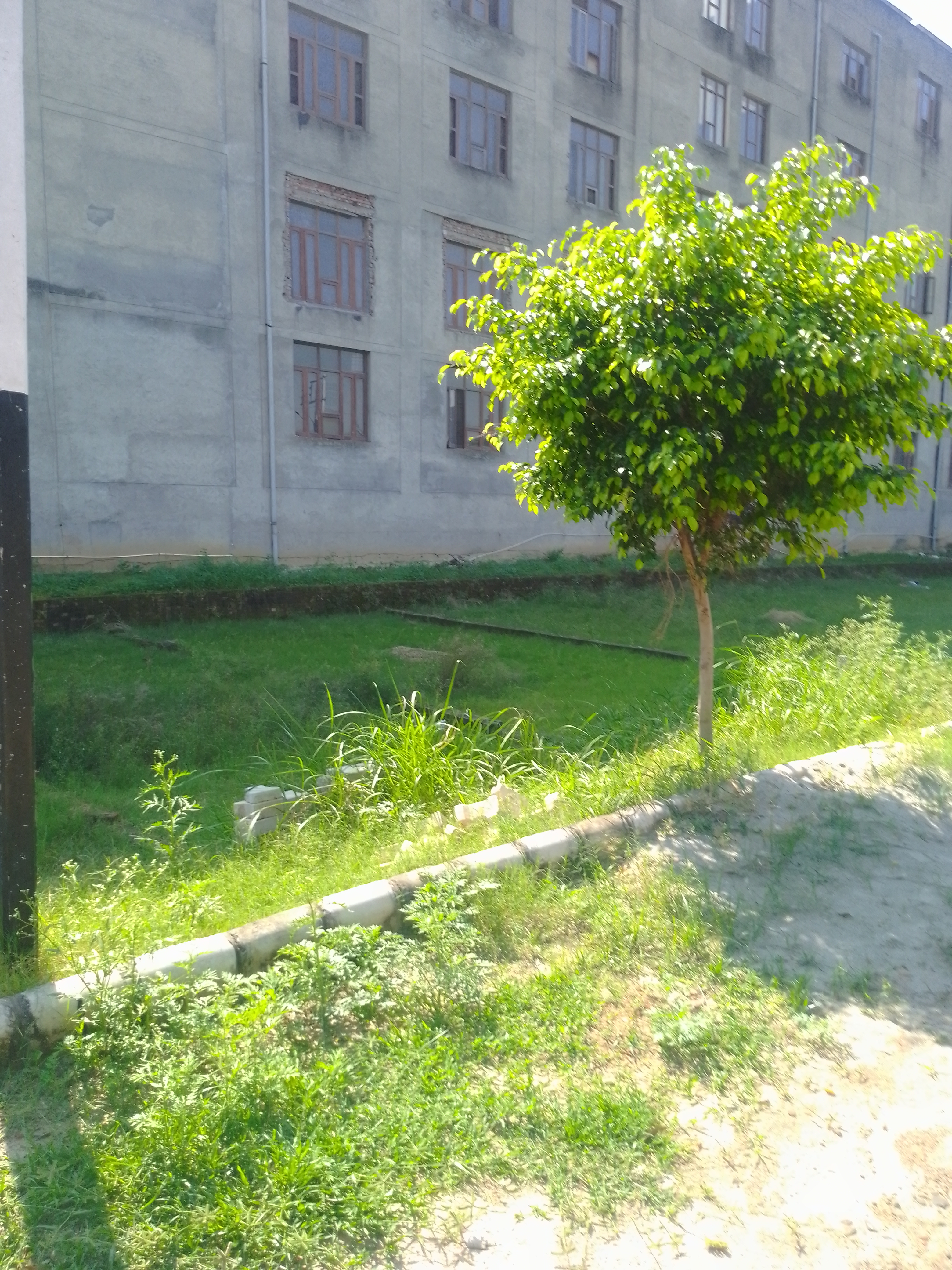 Plot For Sale in Hp Properties In Kurali H