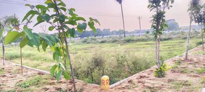 Plot Area in  Plot at Bibinagar – for Sale