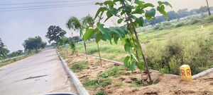 Plot Area in  Plot at Bibinagar – for Sale