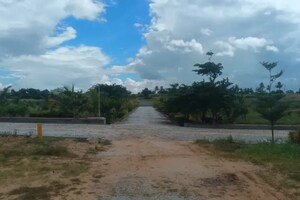  Plot For Sale in Chikkaballapur