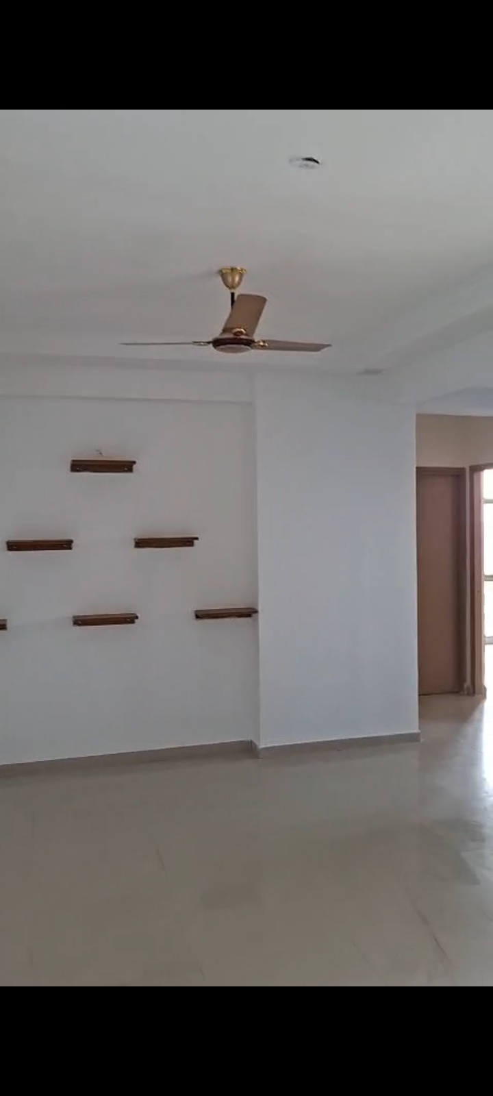 2 BHK Apartment For Rent in Pareena Om Apartments
