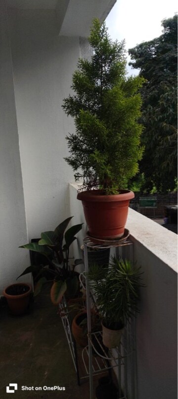 2 BHK Apartment – Exterior View View at Raja Four Squares, Koramangala - for Rent