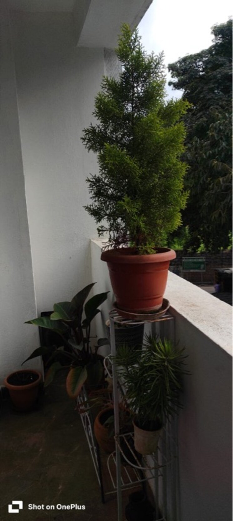 Exterior View, raja-four-squares 2 Bedroom 1200 Sq.Ft. Apartment In Koramangala Bangalore 9303357