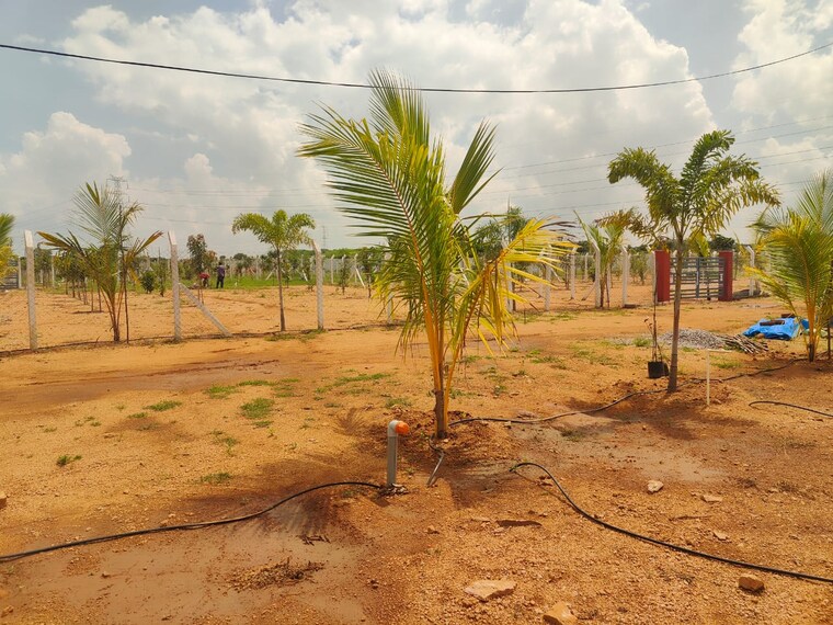 undefined, keesara  605 Sq.Yd. Plot In Keesara Hyderabad 9303467