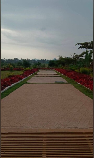  Plot For Sale in Chikkaballapur