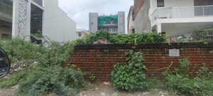  Plot For Sale in Sector 11