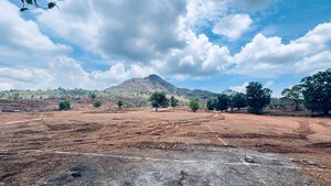 Plot Area in  Plot at Kalote – for Sale