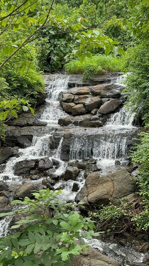  Plot For Sale in Kalote