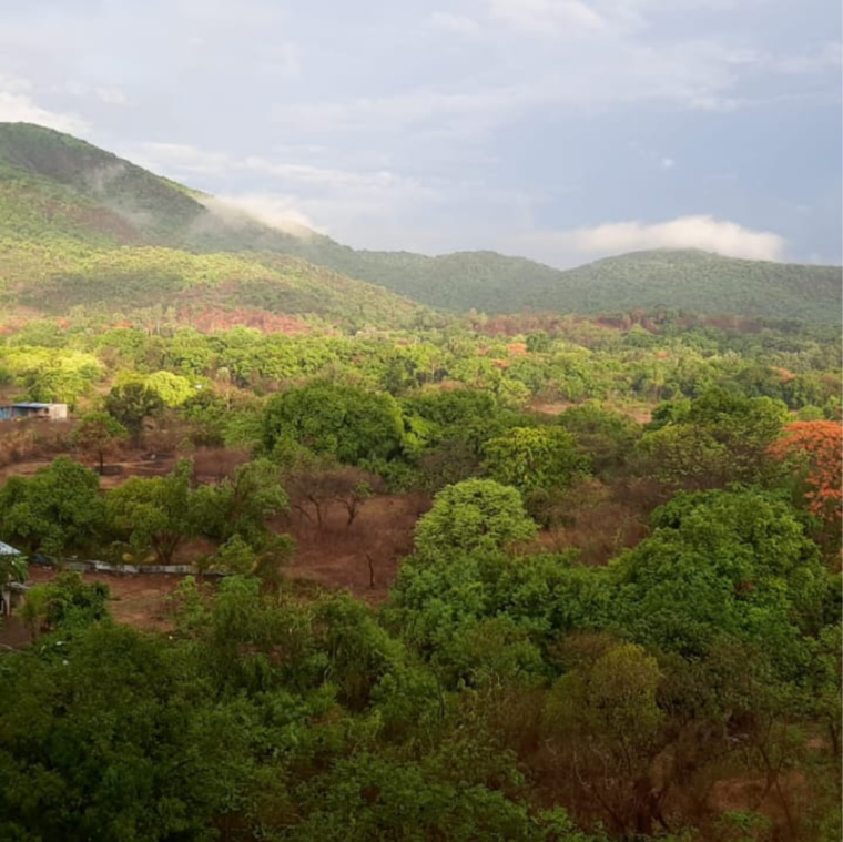 Garden, mulund west Pg For Boys In Mulund West 9304303