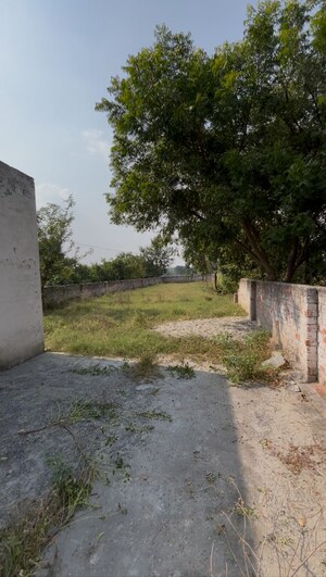 Plot Area in  Plot at Sector 24 Yamuna Expressway – for Sale