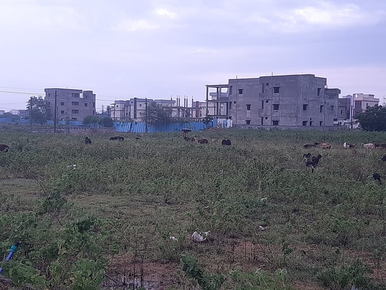 undefined, jalapalli  150 Sq.Yd. Plot In Jalapalli Hyderabad 9304437