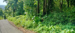 Plot Area in  Plot at Athani – for Sale