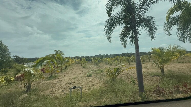 undefined, shamirpet  242 Sq.Yd. Plot In Shamirpet Hyderabad 9304505