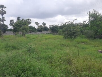 Plot Area in  Land at Jalapalli – for Sale
