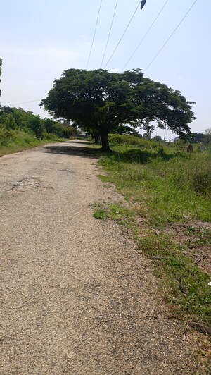 Plot Area in  Plot at Vakil Whispering Woods, Thirumagondanahalli – for Sale