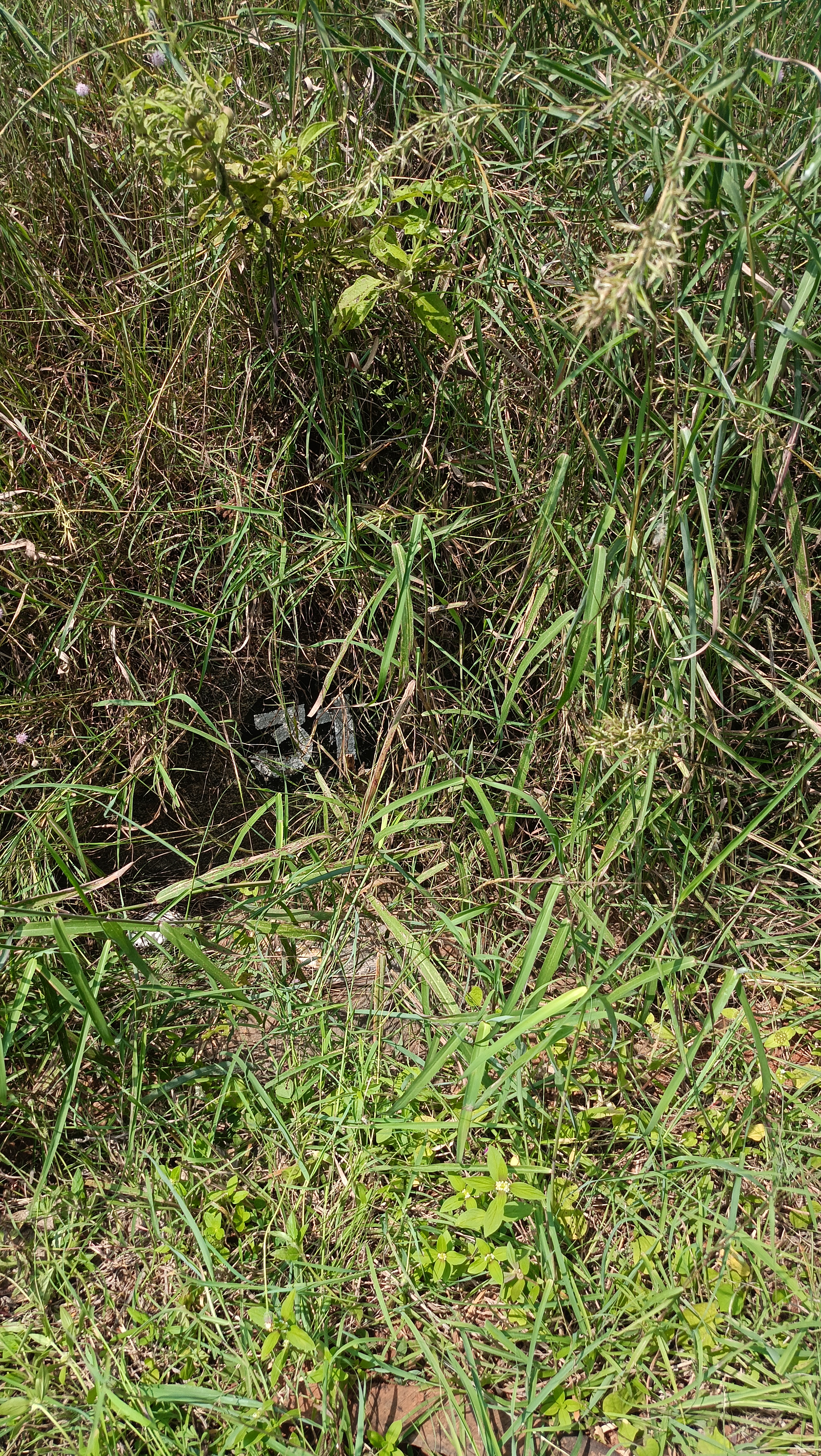 Plot For Sale in Vakil Whispering Woods