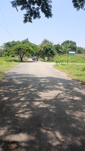 Plot Area in  Plot at Vakil Whispering Woods, Thirumagondanahalli – for Sale