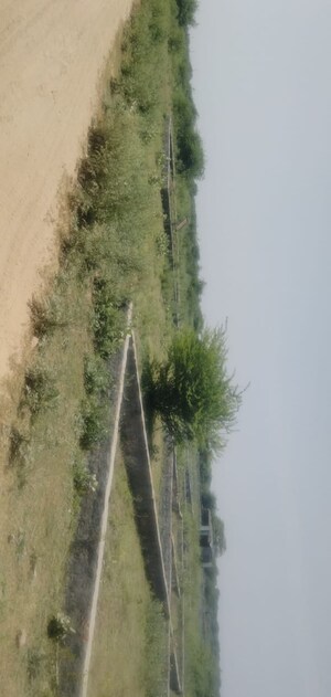  Plot – Garden View at Sector 162 - for Sale