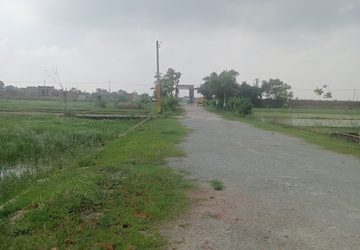 Plot Area in  Plot at Ramnagar – for Sale