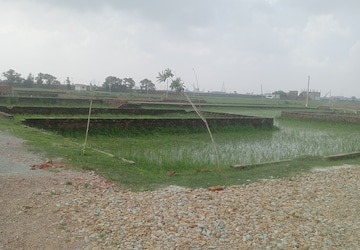 Plot Area in  Plot at Ramnagar – for Sale