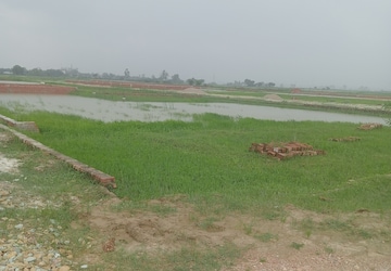 Plot Area in  Plot at Ramnagar – for Sale