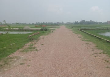 Plot Area in  Plot at Ramnagar – for Sale