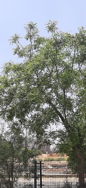 2 BHK Apartment – Garden View at Signature Global Proxima Phase 2, Sector 89 - for Sale