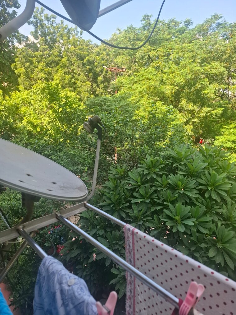 Balcony, dda-rosewood-apartments 3 Bedroom 1500 Sq.Ft. Apartment In Vasant Kunj Delhi 9304816