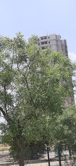 2 BHK Apartment – Garden View at Signature Global Proxima, Sector 89 - for Sale