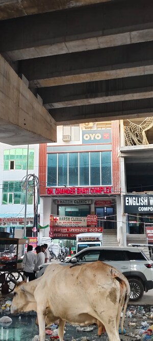 2 BHK Builder Floor – Exterior View View at Noida Central - for Sale