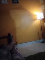 2 BHK 850 Sq.Ft. Builder Floor in BTM Residency