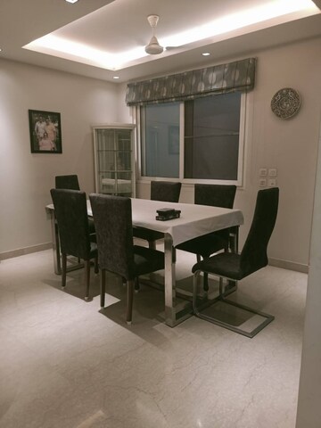 Living Room in 3 BHK Builder Floor at Chittaranjan Park – for Rent