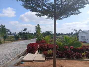 Plot Area in  Plot at Nelamangala - Chikkaballapura Road – for Sale