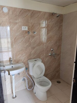 Bathroom in 2 BHK Apartment at Amrapali Dream Valley, Tech Zone 4 Greater Noida – for Rent