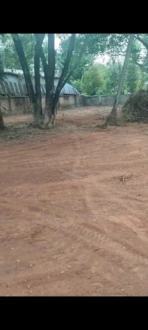  Land For Sale in Chalakudy