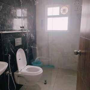 Bathroom in 1 BHK Apartment at Canal Road – for Rent