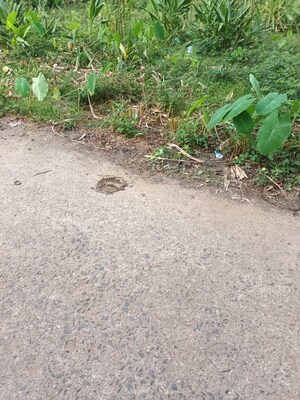 Plot Area in  Plot at Kodibag – for Sale