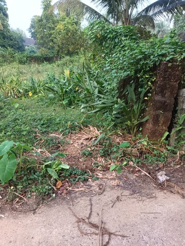 Plot Area in  Plot at Kodibag – for Sale