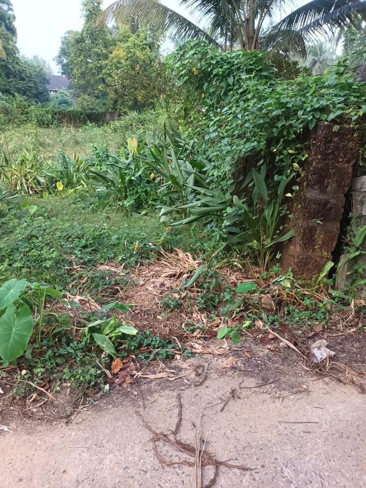 undefined, kodibag  483 Sq.Yd. Plot In Kodibag Karwar 9306168