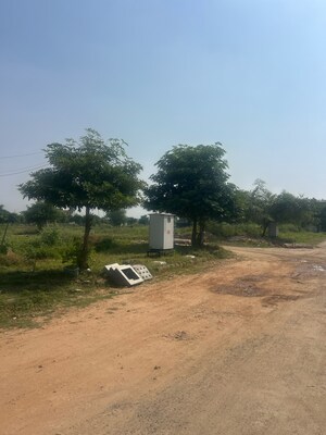 Plot Area in  Plot at Sector 84 – for Sale