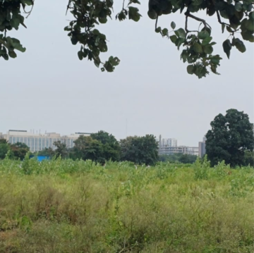 Plot Area in  Land at Mihan – for Sale