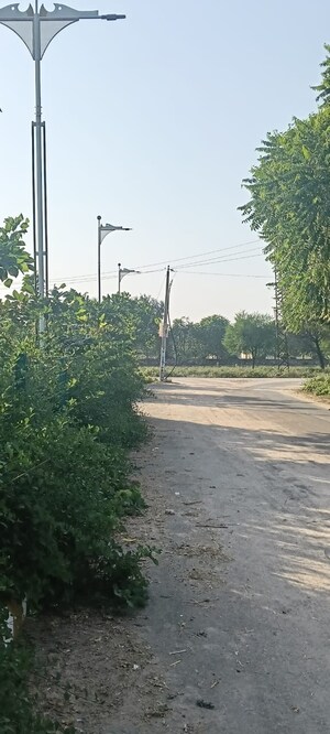 Plot Area in  Plot at Riyasat Sitarampura Extension, Sitarampura – for Sale